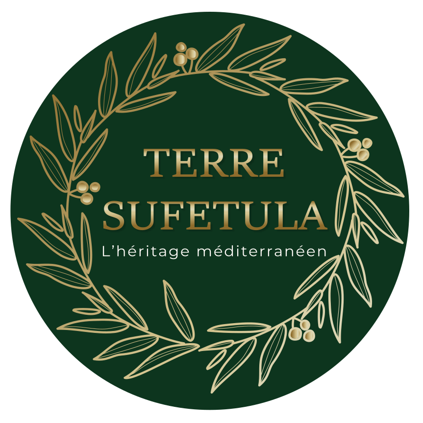 logo TF- fond carré